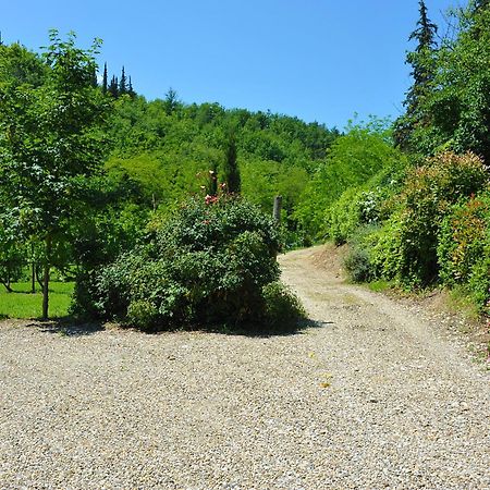 Antico Pastificio Aparthotel Greve in Chianti Ngoại thất bức ảnh