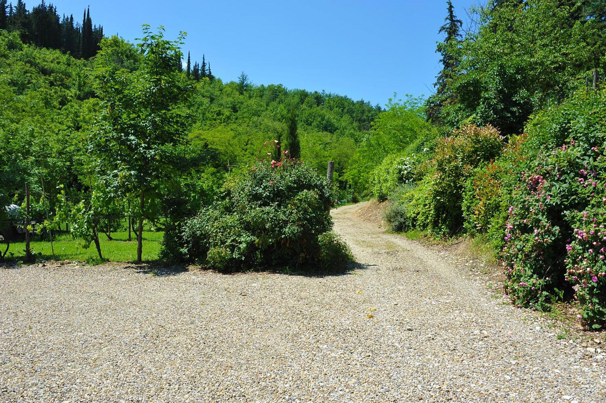 Antico Pastificio Aparthotel Greve in Chianti Ngoại thất bức ảnh