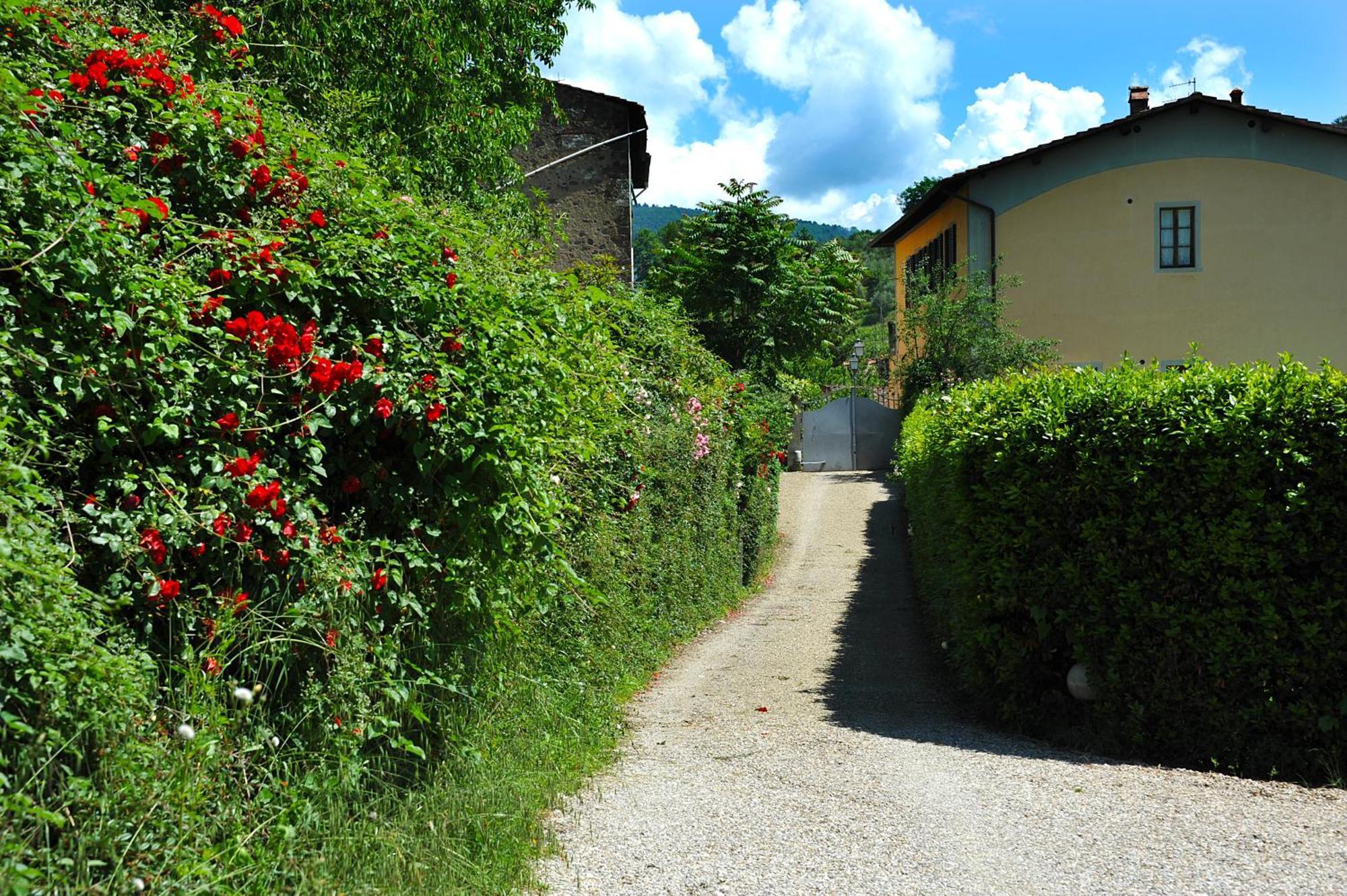 Antico Pastificio Aparthotel Greve in Chianti Ngoại thất bức ảnh