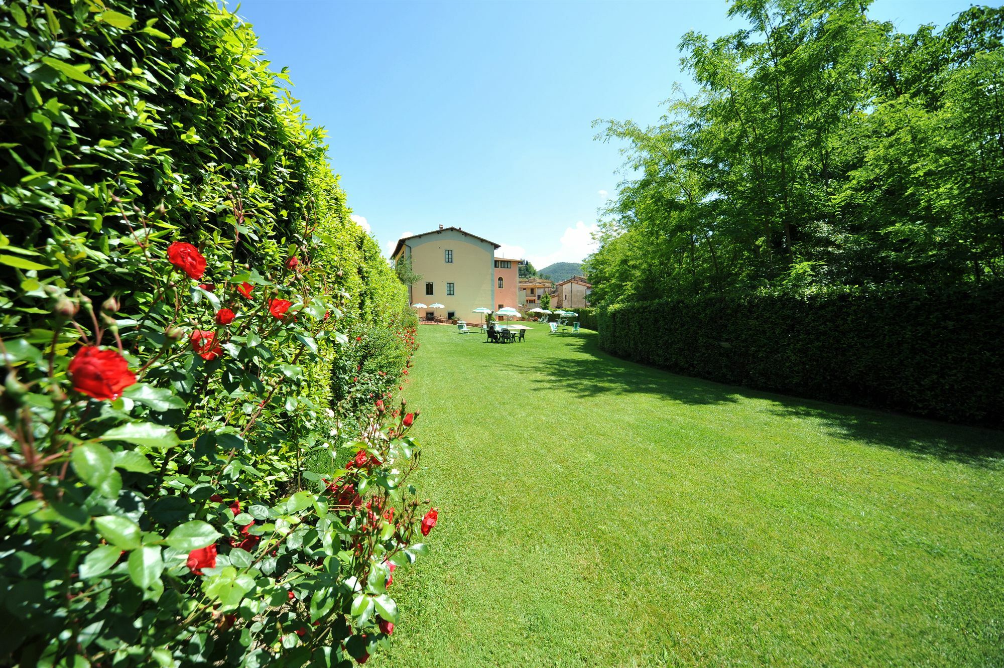 Antico Pastificio Aparthotel Greve in Chianti Ngoại thất bức ảnh